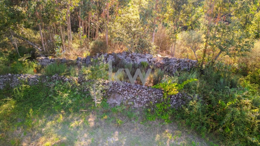 Terreno para Venda em Anjos e Vilar do Chão Foto 10
