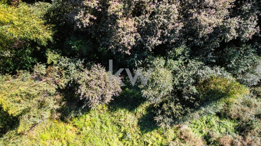 Terreno para Venda em Anjos e Vilar do Chão Foto 12