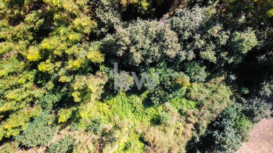 Terreno para Venda em Anjos e Vilar do Chão Foto 17
