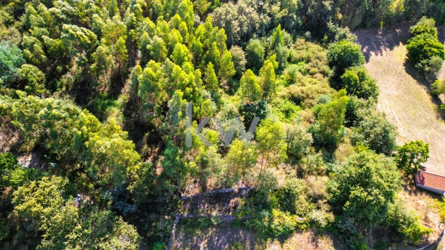 Terreno para Venda em Anjos e Vilar do Chão Foto 13
