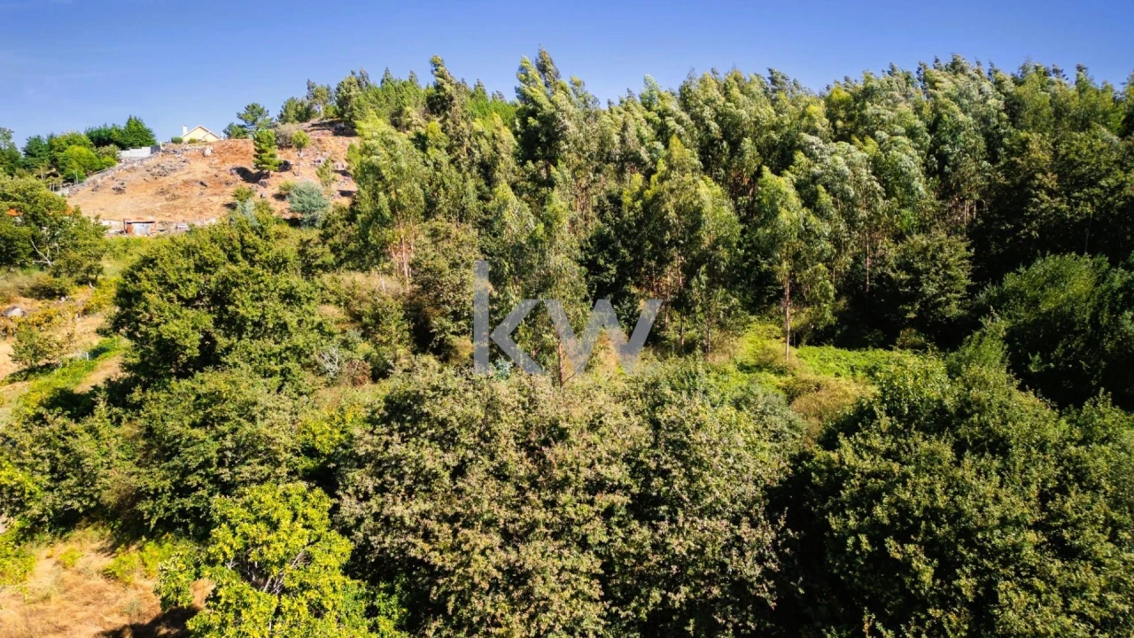 Terreno para Venda em Anjos e Vilar do Chão Foto 6