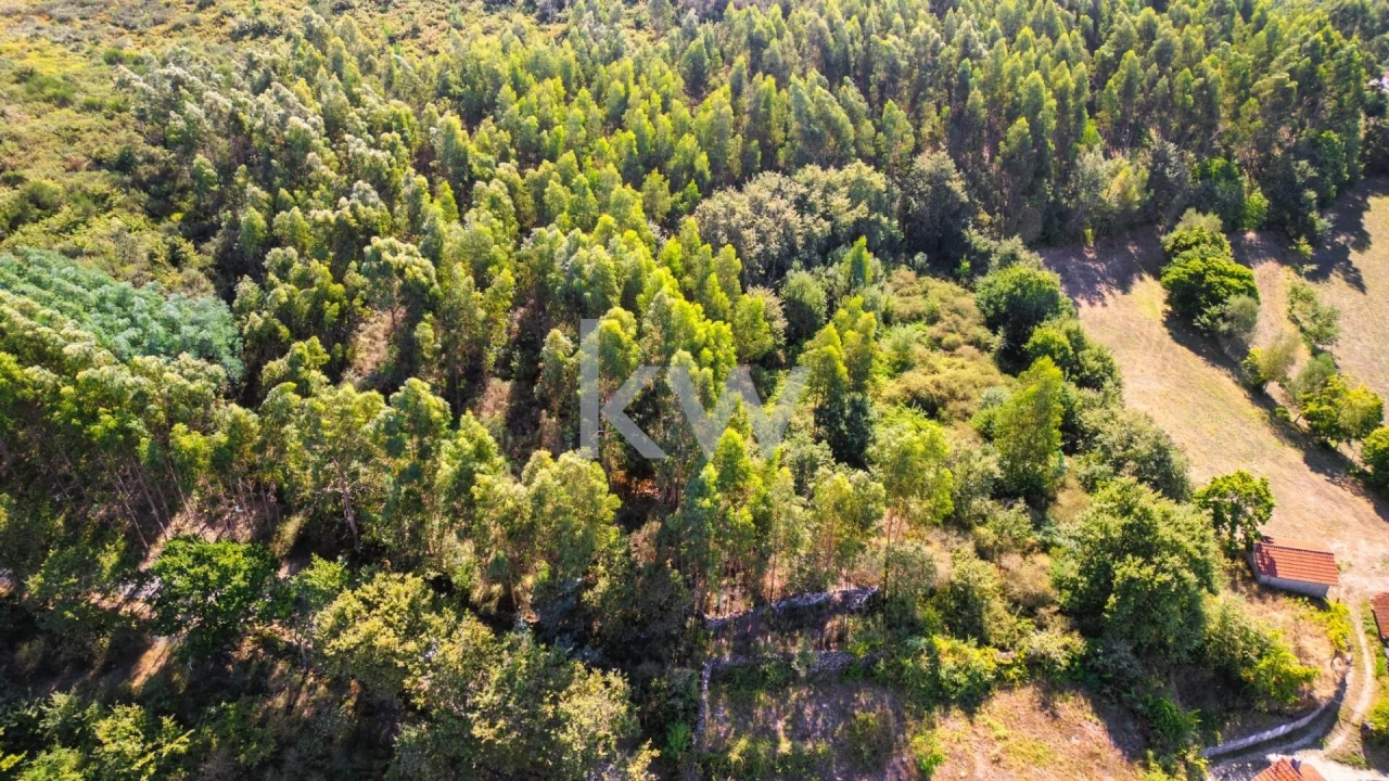 Terreno para Venda em Anjos e Vilar do Chão Foto 3