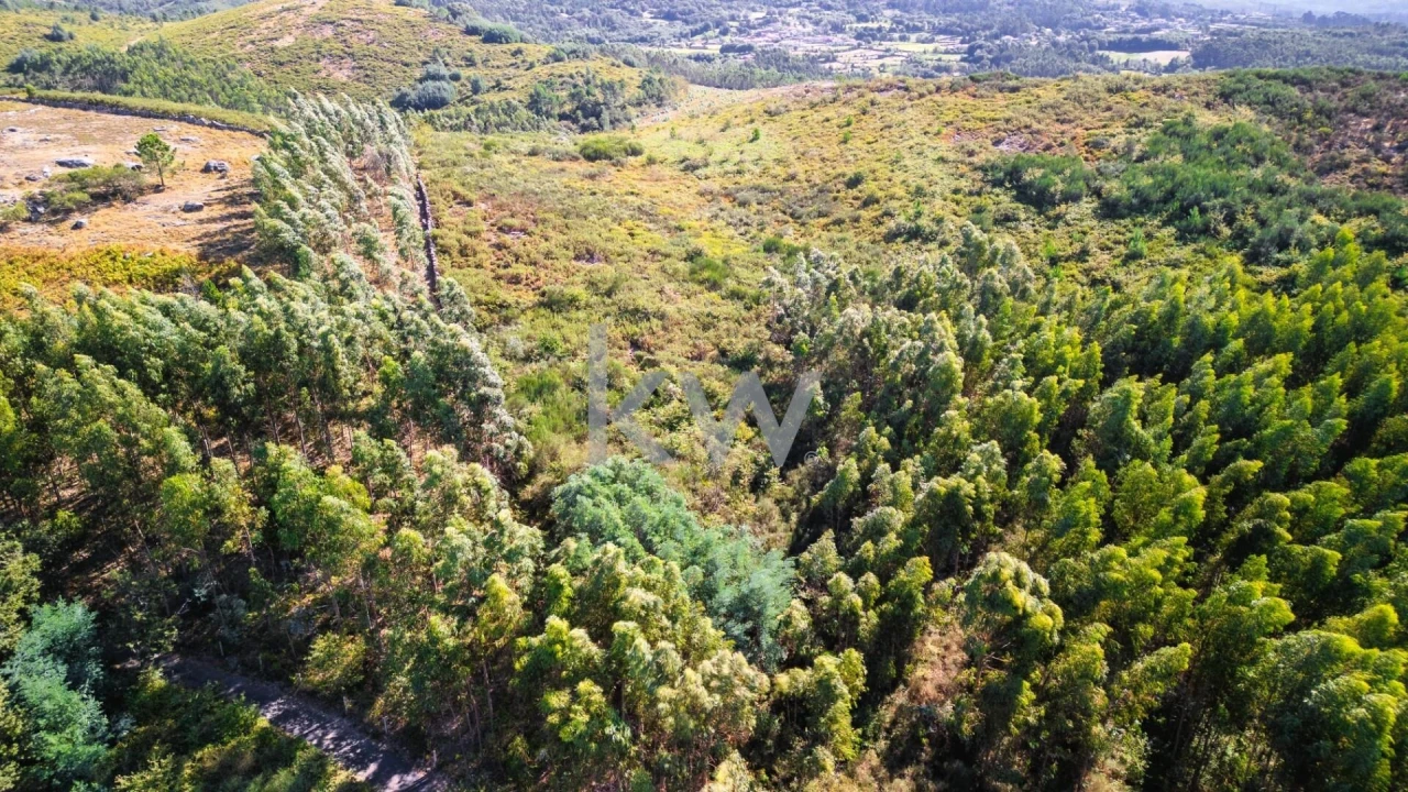 Terreno para Venda em Anjos e Vilar do Chão Foto 8