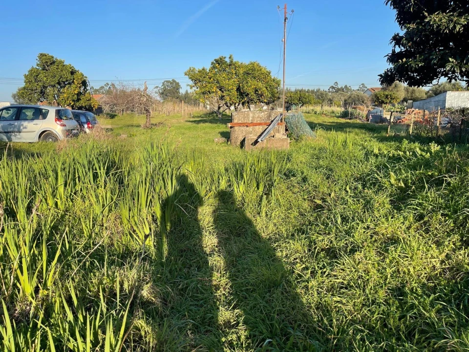 Moradia T1 para Venda em Pereira Foto 12