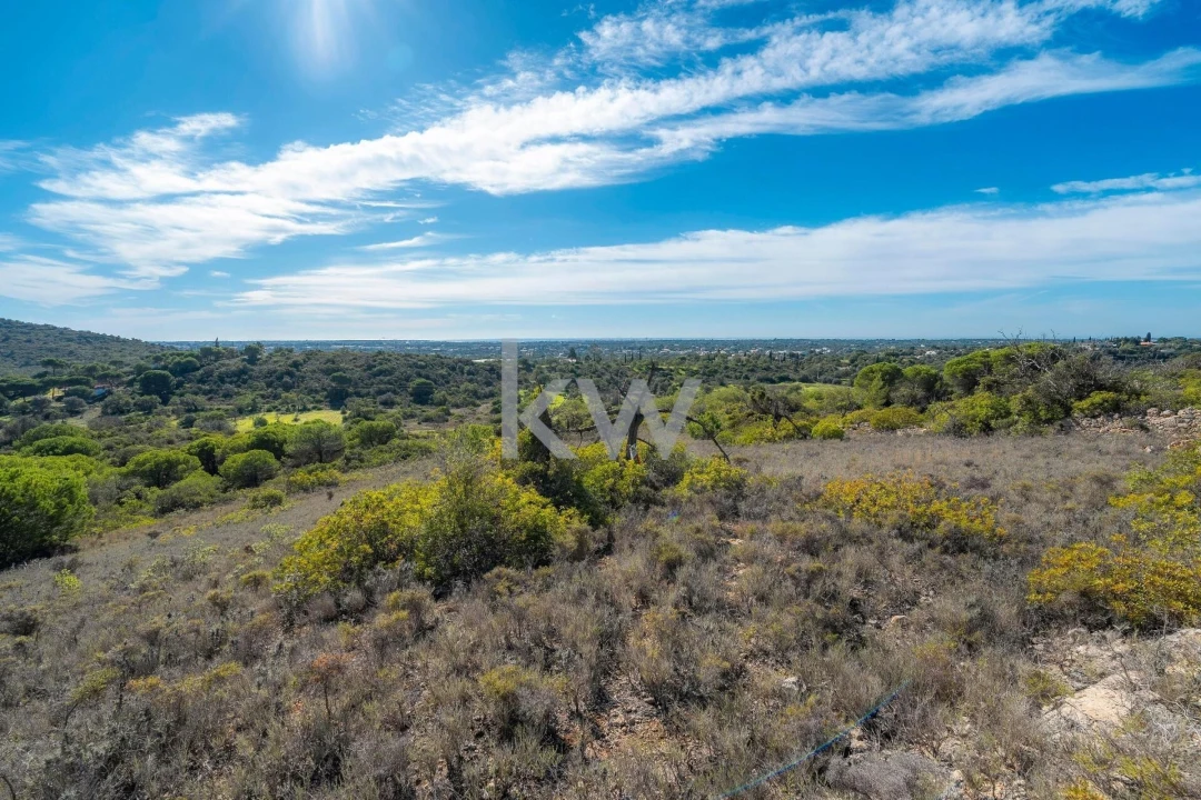 Terreno para Venda em Almancil Foto 15