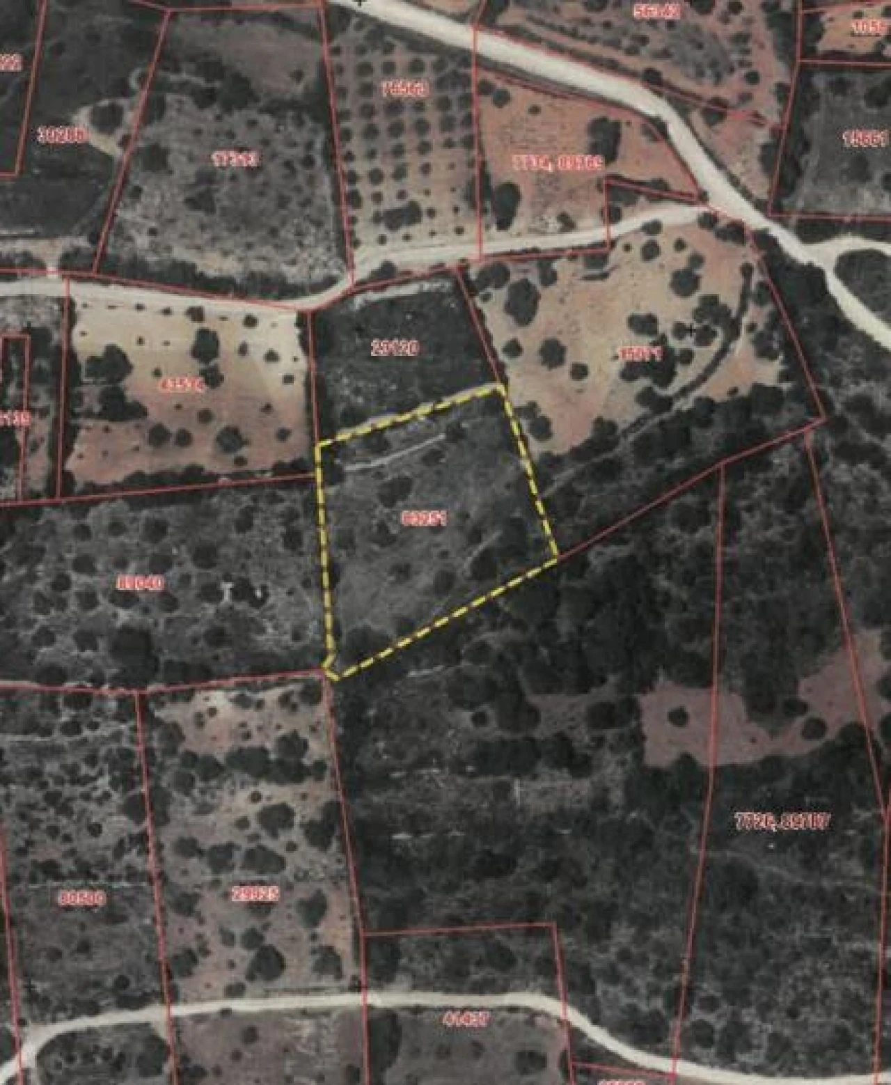 Terreno para Venda em Almancil Foto 17