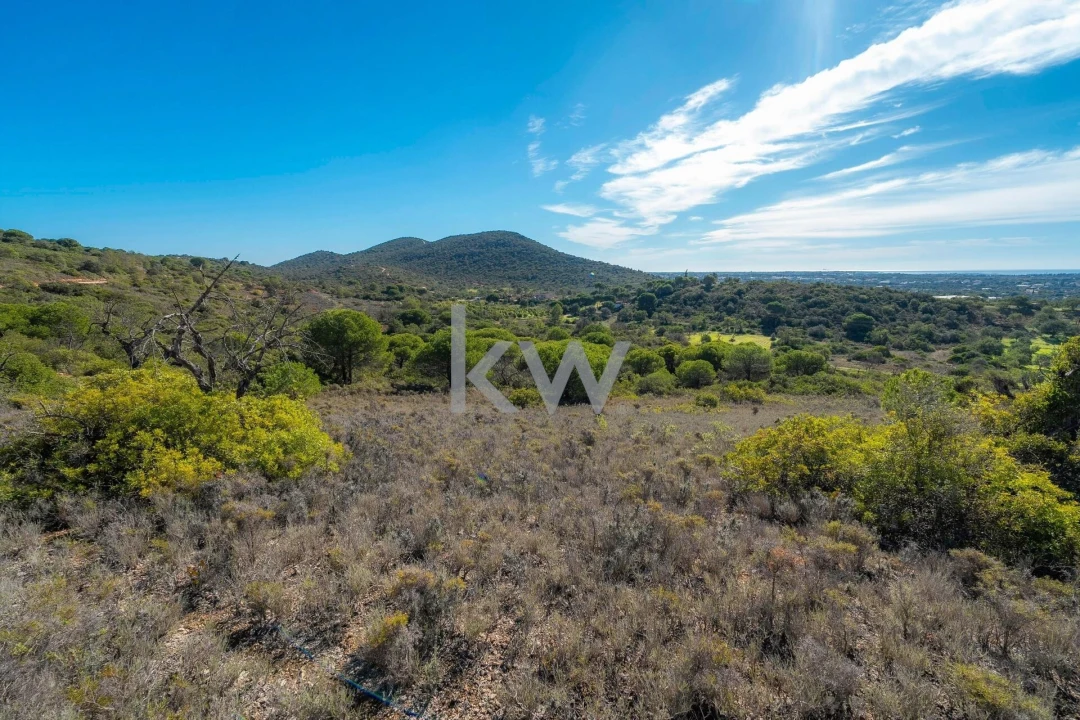 Terreno para Venda em Almancil Foto 16