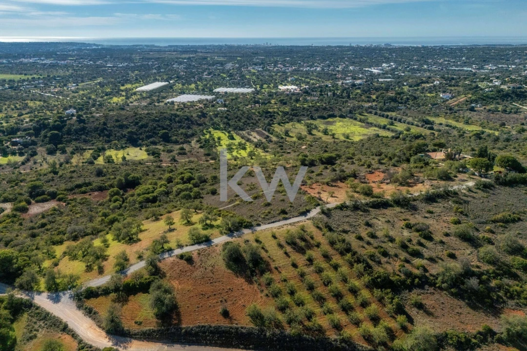 Terreno para Venda em Almancil Foto 3