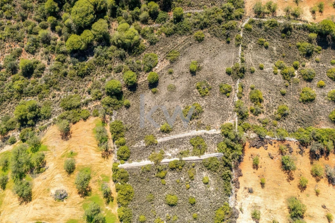 Terreno para Venda em Almancil Foto 5