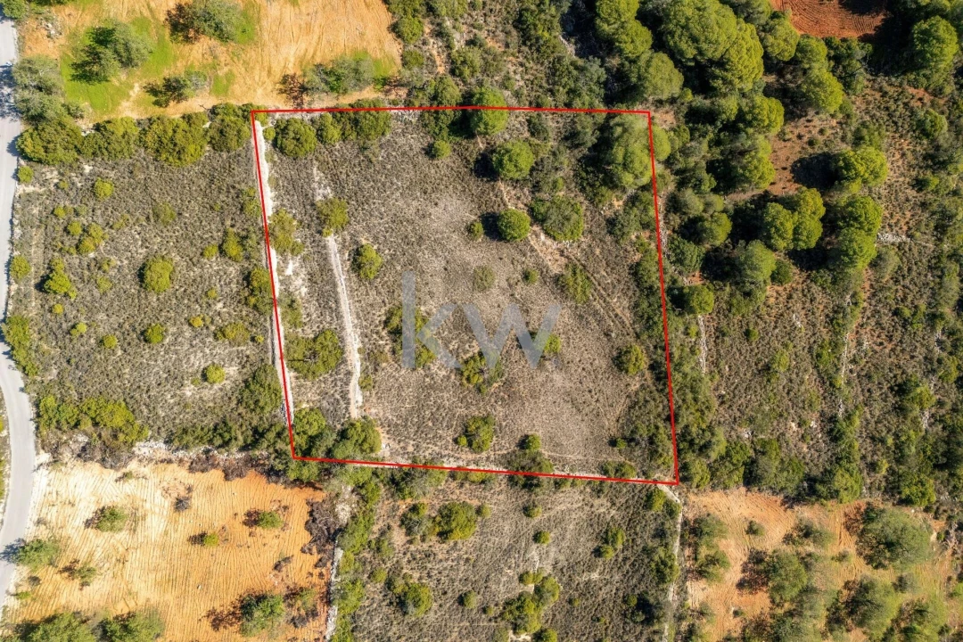 Terreno para Venda em Almancil Foto 2