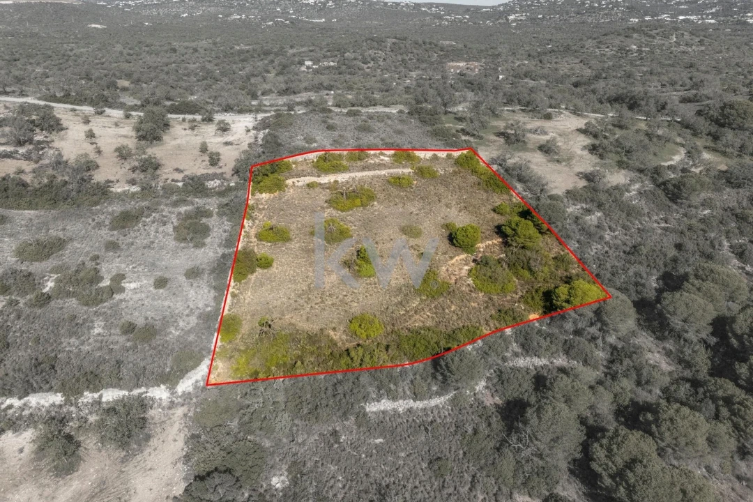 Terreno para Venda em Almancil Foto 14