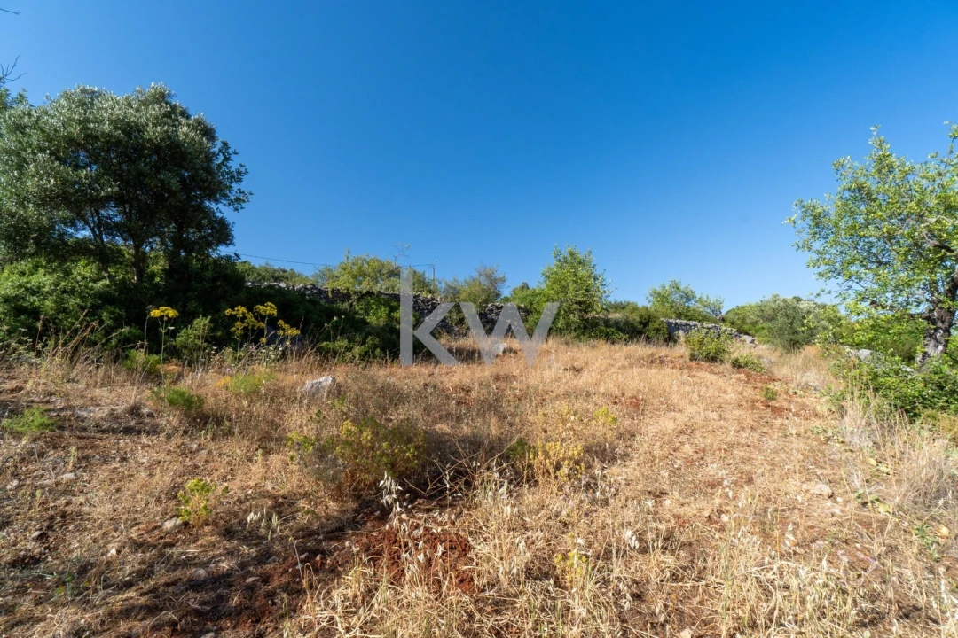Terreno para Venda em São Brás de Alportel Foto 29
