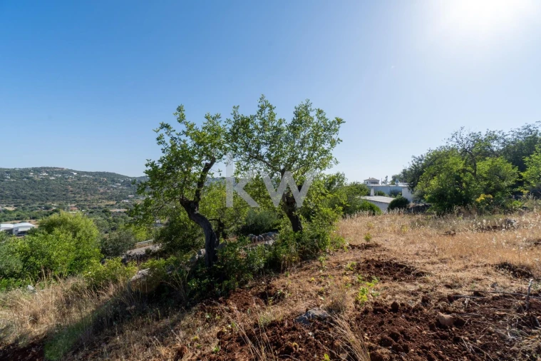 Terreno para Venda em São Brás de Alportel Foto 18