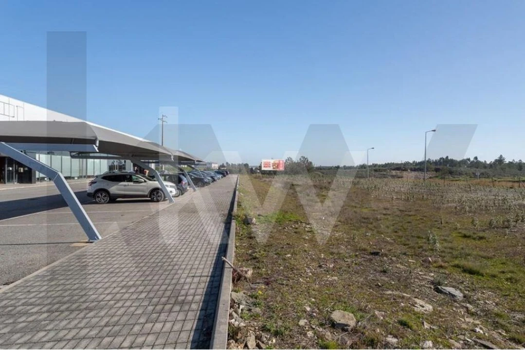 Armazém para Venda em Castelo Branco Foto 54