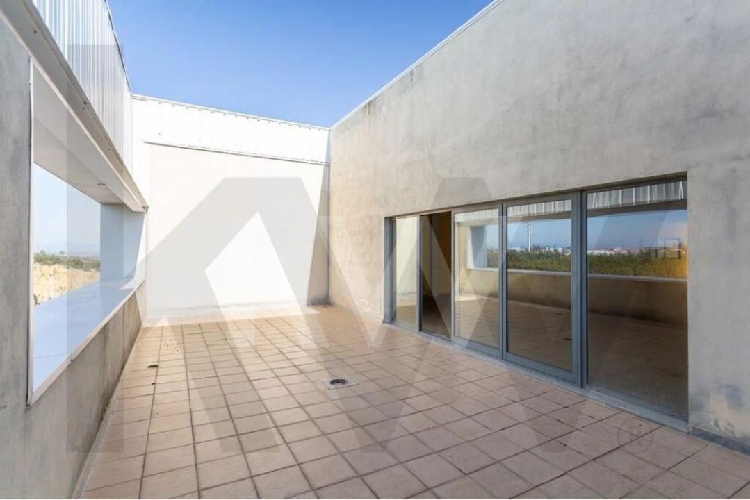 Armazém para Venda em Castelo Branco Foto 13