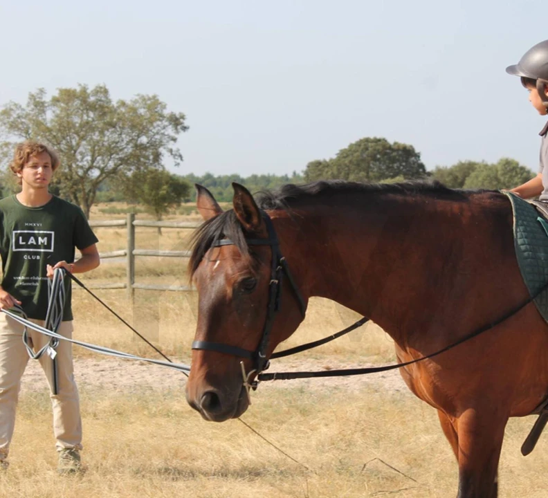 Quinta T34 para Venda em Cunheira Foto 41