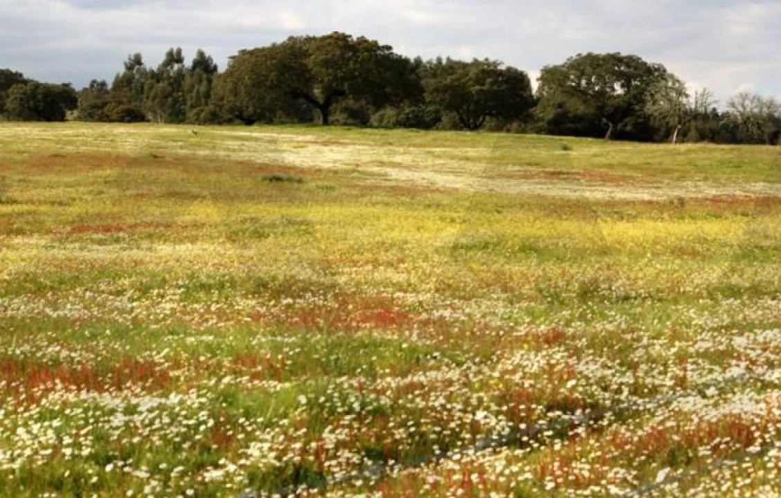 Quinta T34 para Venda em Cunheira Foto 72