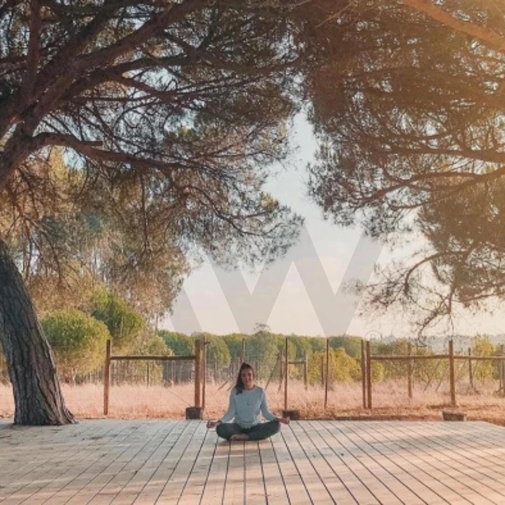 Quinta T34 para Venda em Cunheira Foto 47