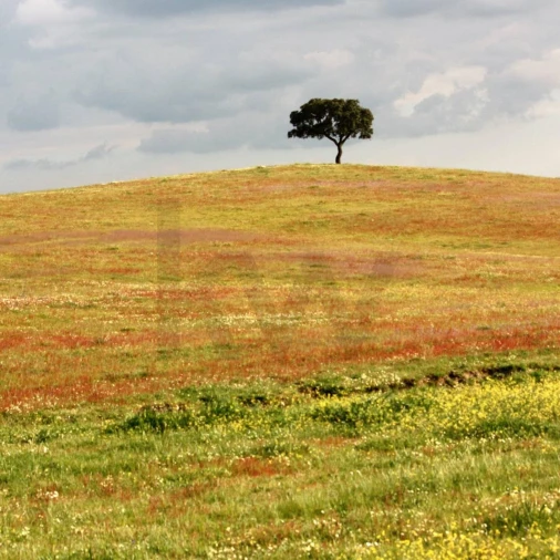 Quinta T34 para Venda em Cunheira Foto 71