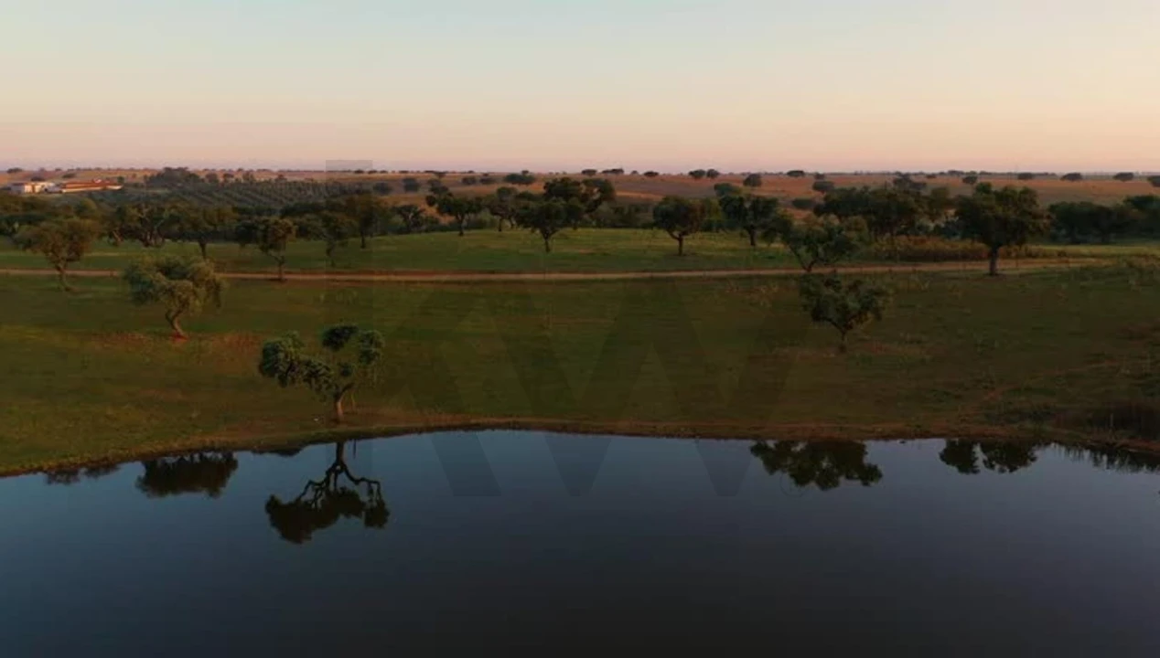 Quinta T34 para Venda em Cunheira Foto 75