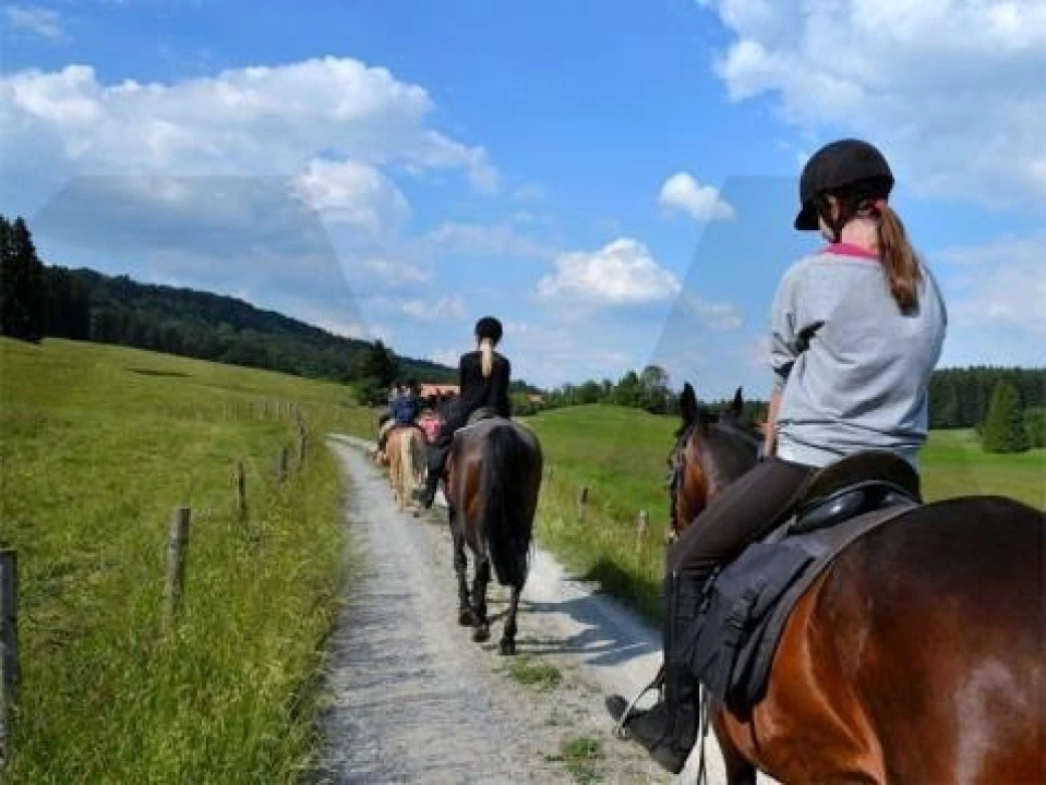 Quinta T34 para Venda em Cunheira Foto 51