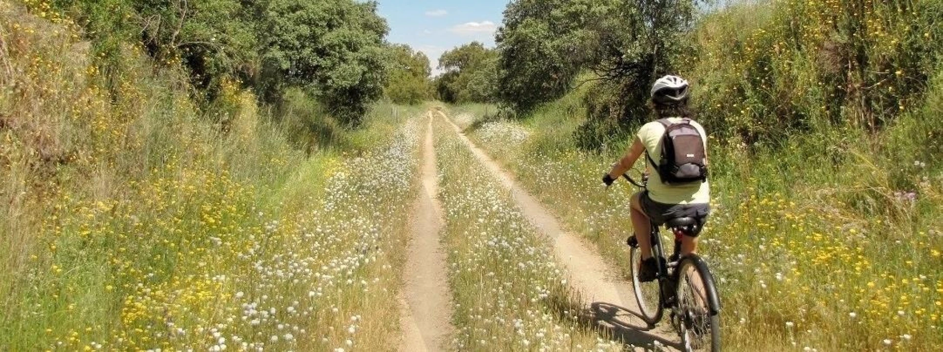 Quinta T34 para Venda em Cunheira Foto 52