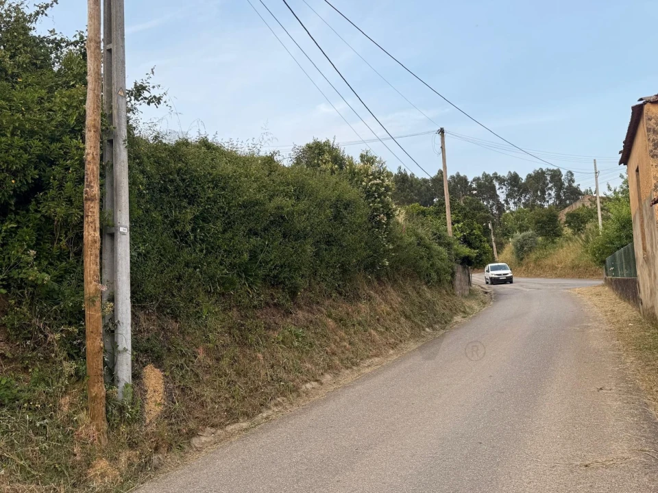 Terreno para Venda em Valongo do Vouga Foto 10