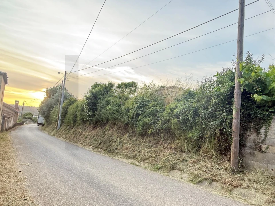 Terreno para Venda em Valongo do Vouga Foto 7