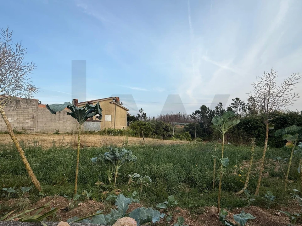 Terreno para Venda em Valongo do Vouga Foto 6