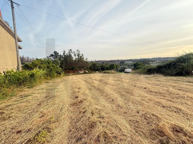 Terreno para Venda em Valongo do Vouga