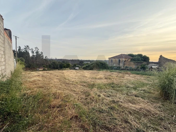 Terreno para Venda em Valongo do Vouga Foto 2