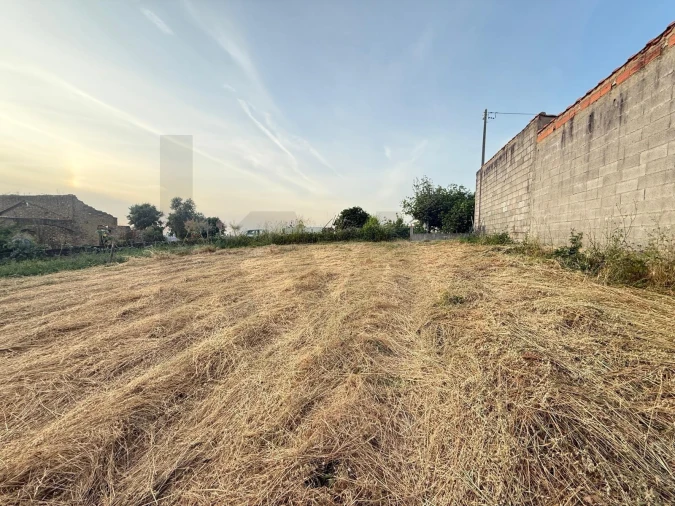 Terreno para Venda em Valongo do Vouga Foto 4