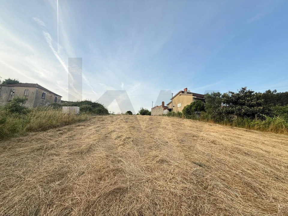 Terreno para Venda em Valongo do Vouga Foto 3