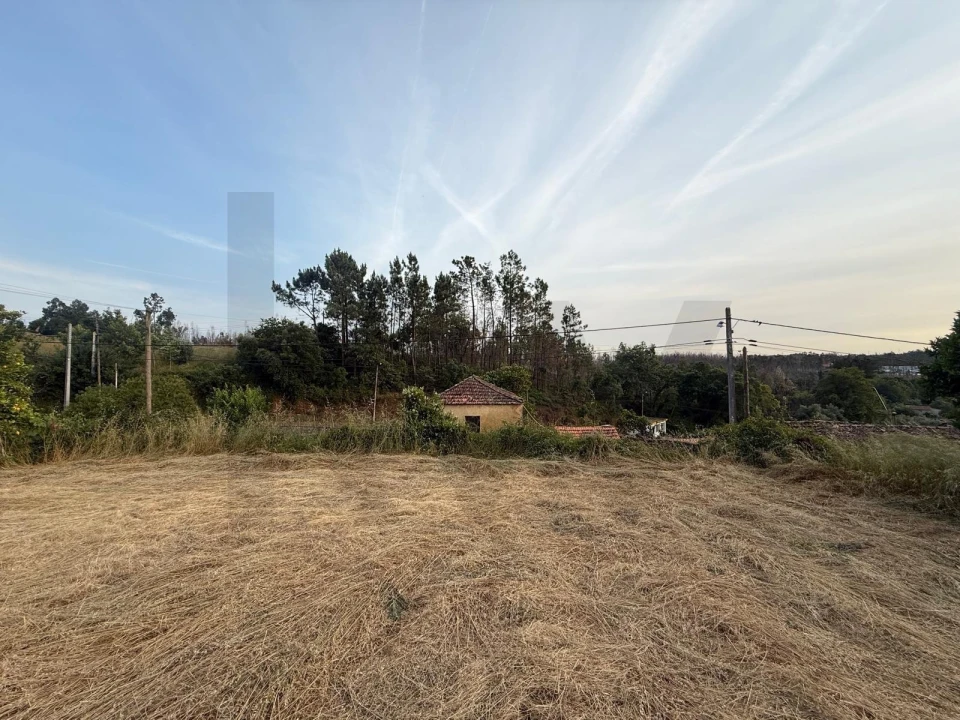 Terreno para Venda em Valongo do Vouga Foto 5