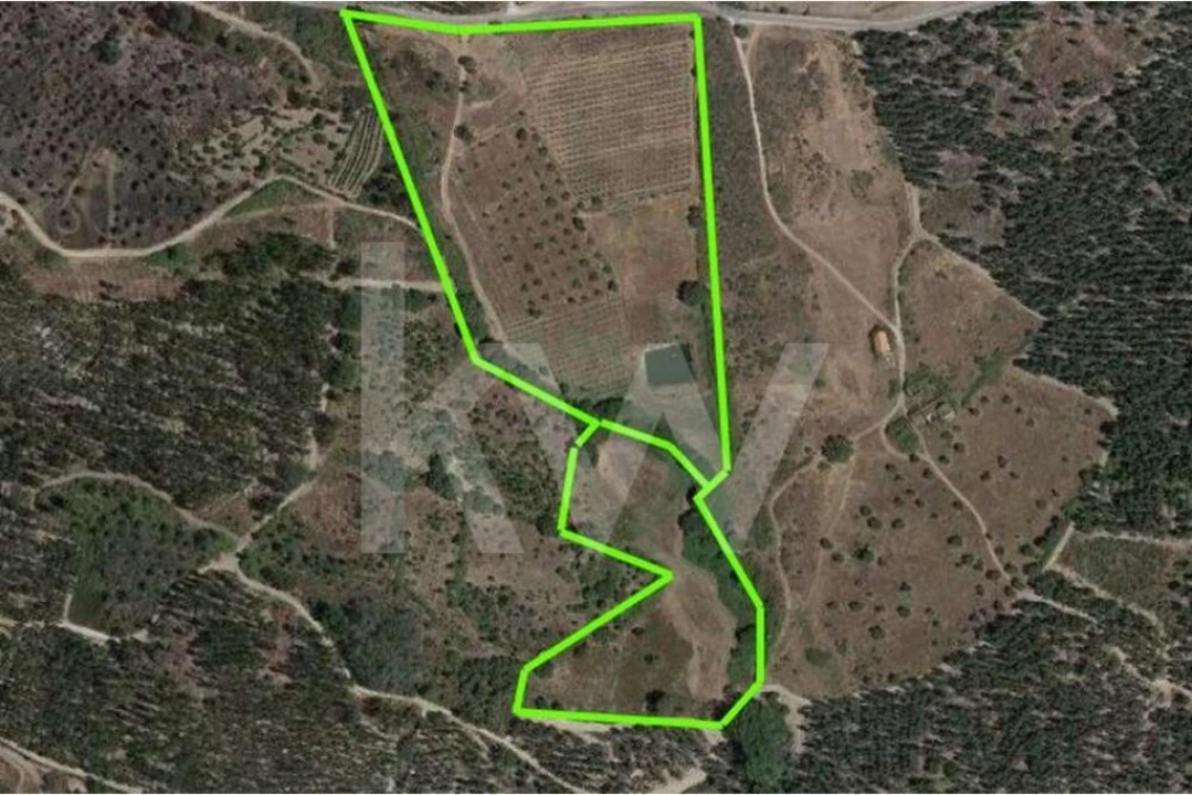 Terreno para Venda em Louriçal do Campo Foto 24