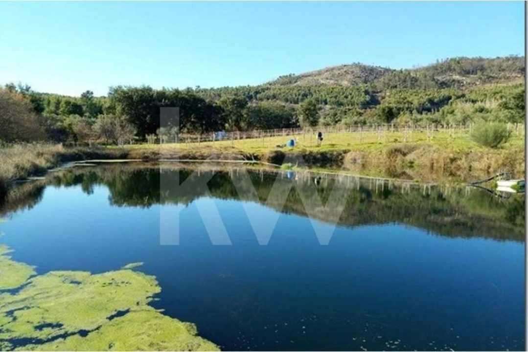 Terreno para Venda em Louriçal do Campo Foto 5
