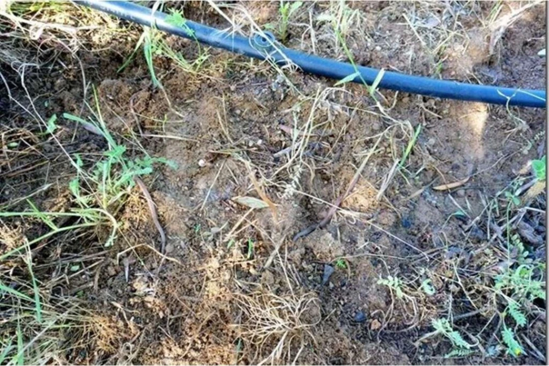 Terreno para Venda em Louriçal do Campo Foto 10