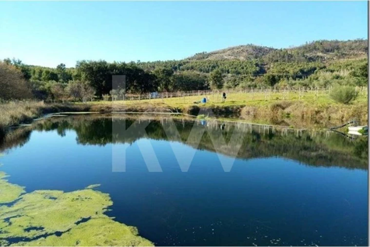 Terreno para Venda em Louriçal do Campo Foto 5