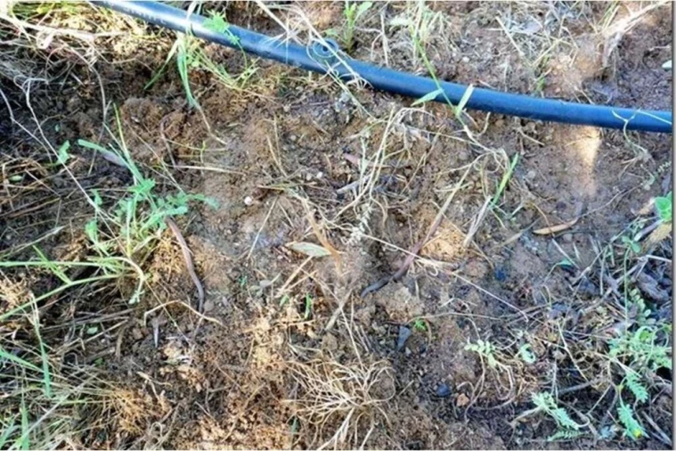 Terreno para Venda em Louriçal do Campo Foto 10