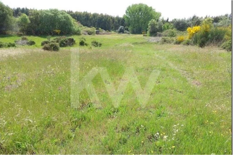 Terreno para Venda em Louriçal do Campo Foto 16