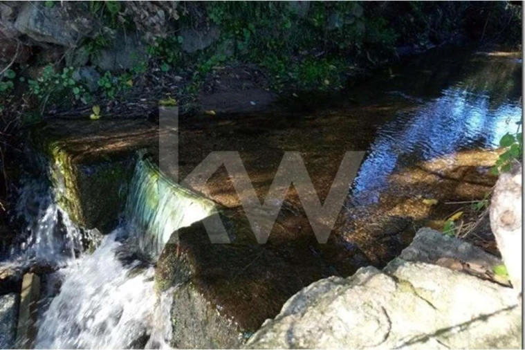 Terreno para Venda em Louriçal do Campo Foto 15