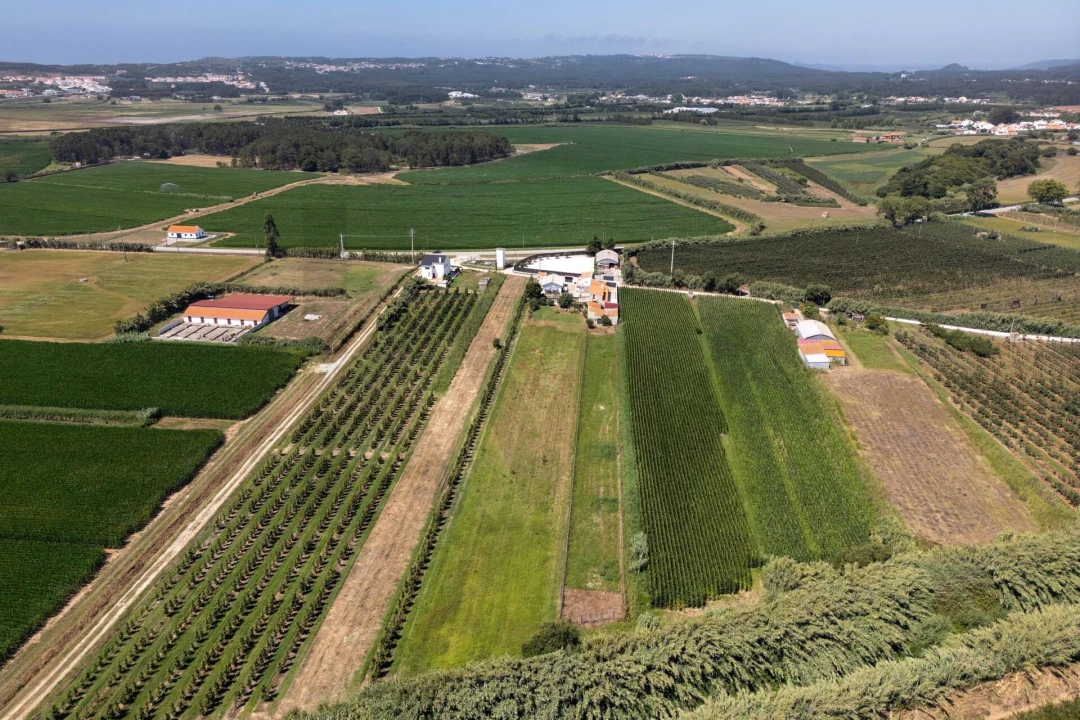 Quinta T4 para Venda em Alfeizerão Foto 73