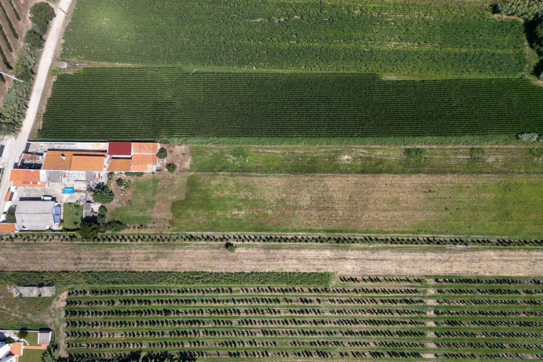 Quinta T4 para Venda em Alfeizerão Foto 76