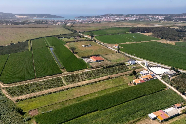 Quinta T4 para Venda em Alfeizerão Foto 71