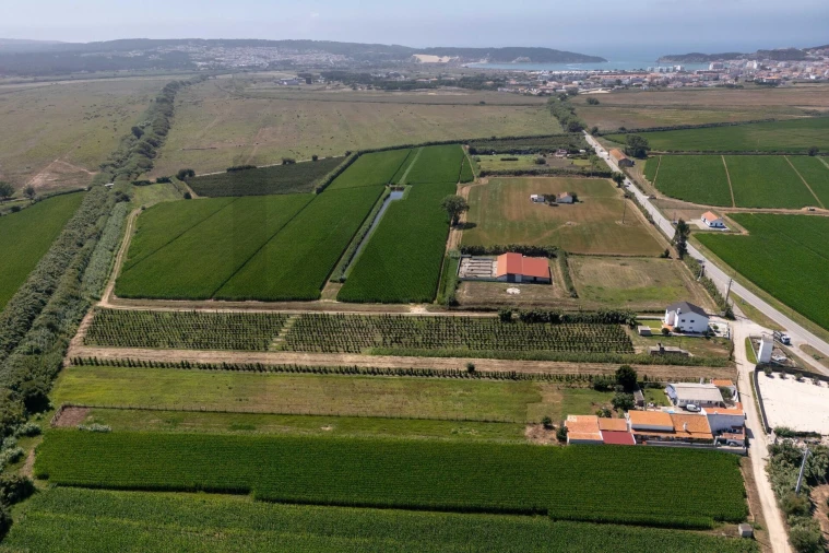 Quinta T4 para Venda em Alfeizerão Foto 70