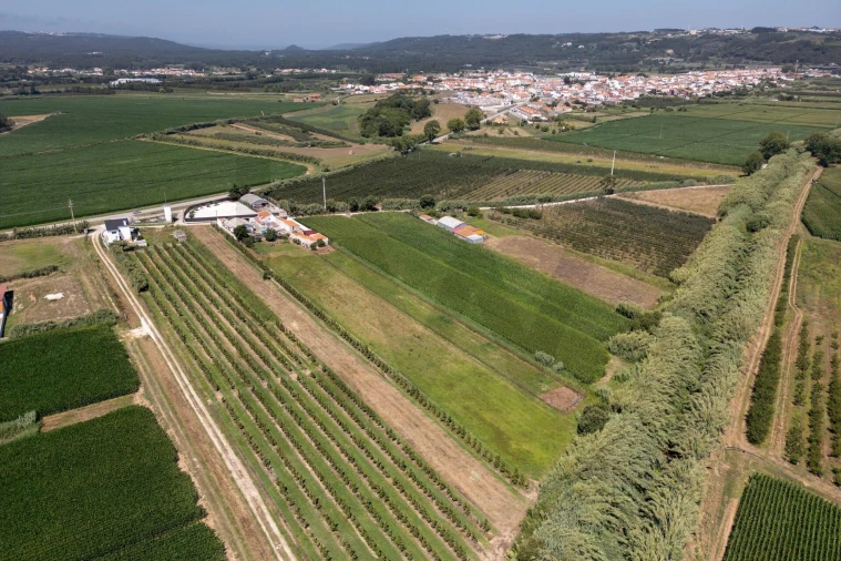Quinta T4 para Venda em Alfeizerão Foto 74