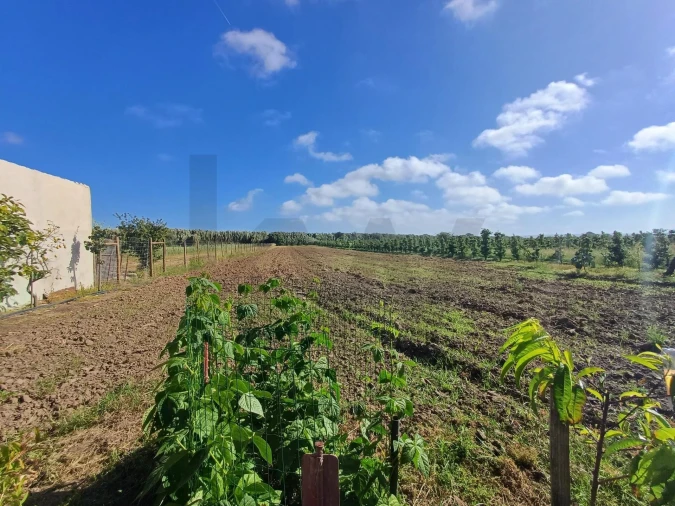 Quinta T4 para Venda em Alfeizerão Foto 28