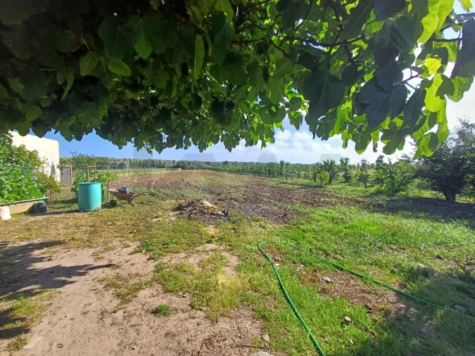 Quinta T4 para Venda em Alfeizerão Foto 27