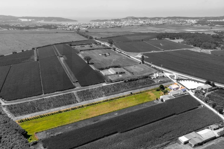 Quinta T4 para Venda em Alfeizerão Foto 72