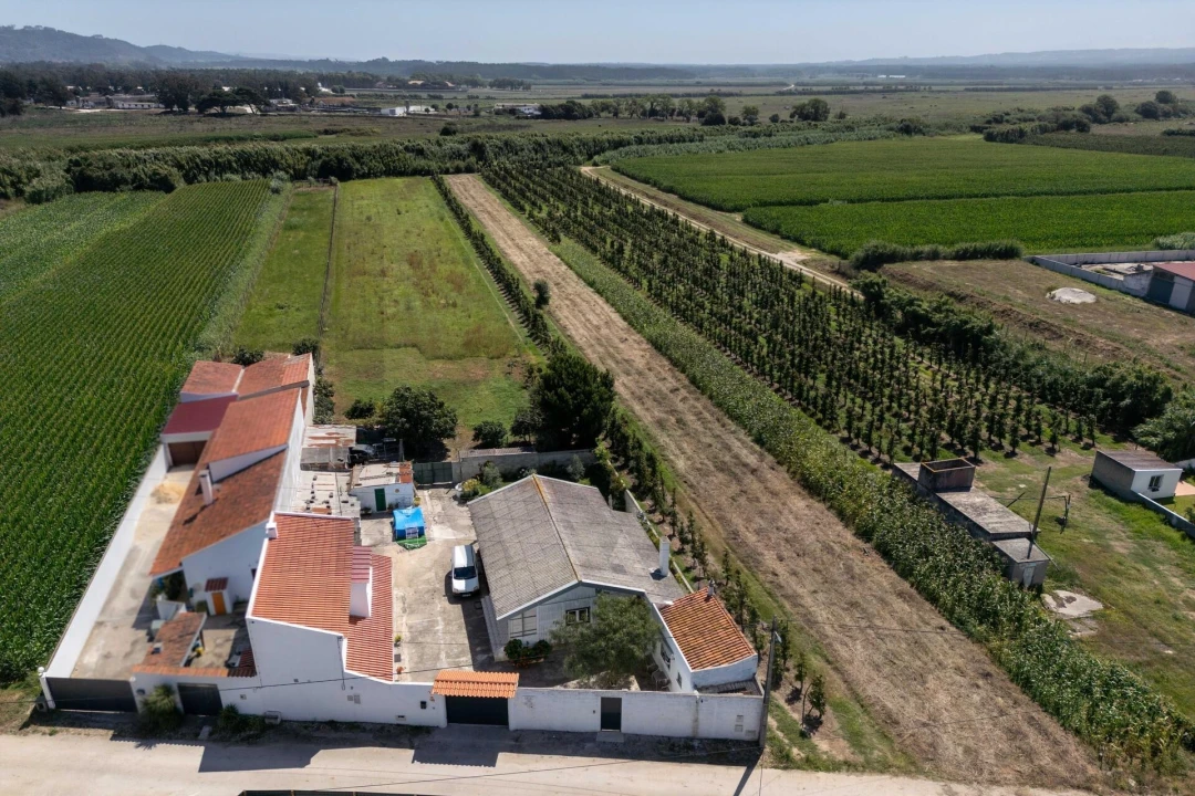 Quinta T4 para Venda em Alfeizerão Foto 1